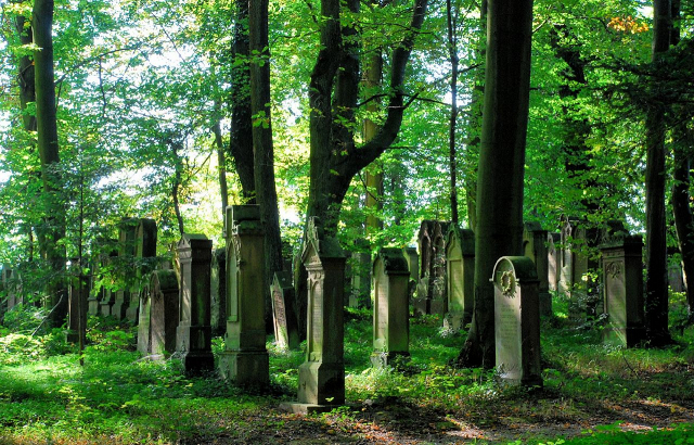 Jüdischer Friedhof am Eichelberg